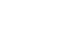 ThreeFold Logo